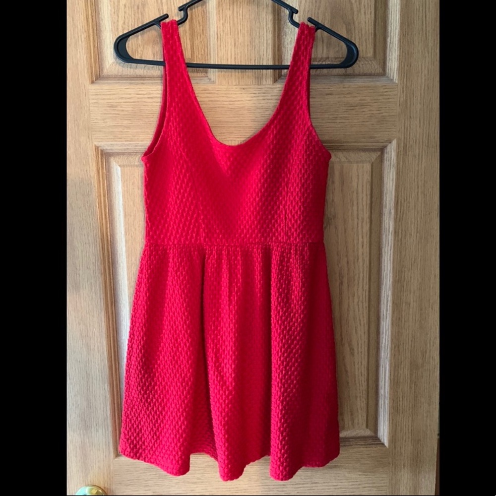 Red Forever 21 Skater Dress
